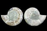 Cut & Polished Ammonite (Anapuzosia?) Pair - Madagascar #88025-1